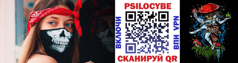 Псилоцибиновые грибы прущие грибы  Чита 