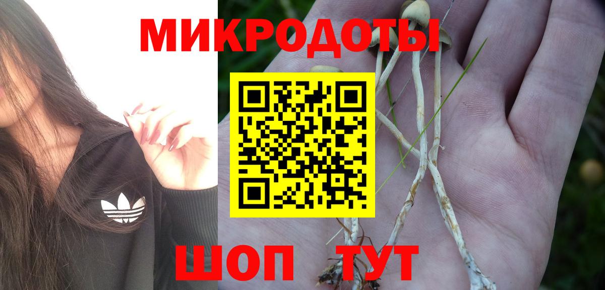 Галлюциногенные грибы мухоморы  Вход с VPN  Чита 